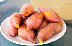 紅薯發芽還能吃嗎？談紅薯的營養價值
