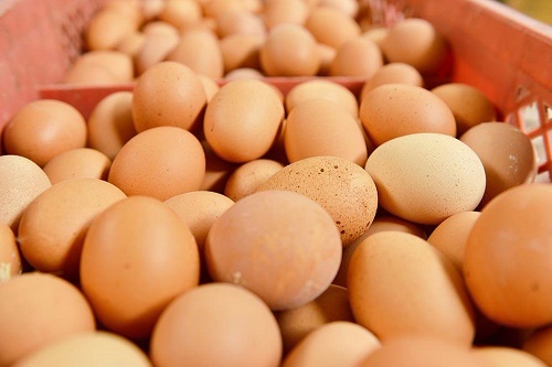 雞蛋保存注意三要點，讓每天吃上放心蛋！